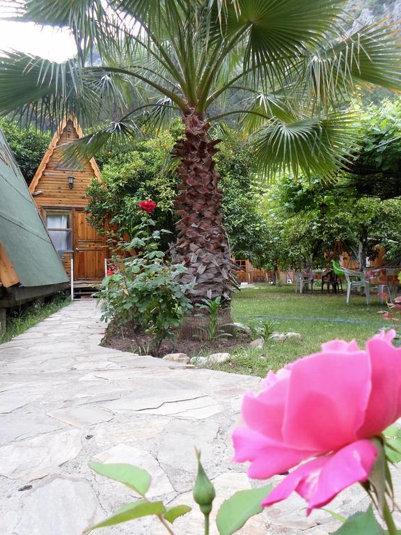 Oran Pansiyon Agac Evler 호텔 Çıralı 외부 사진